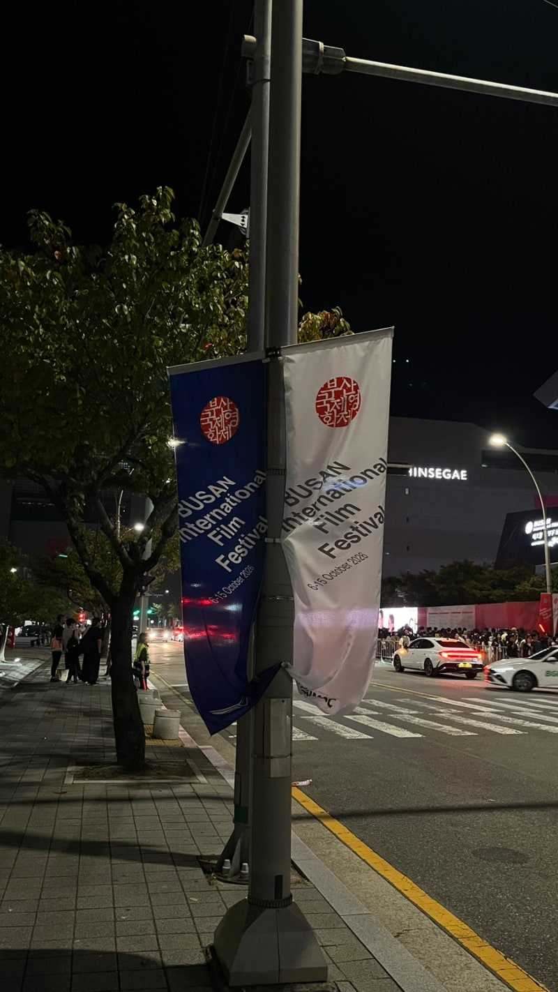 2026년 31회 부산국제영화제 (룩백 스파이럴 바이올리니스트 비트윈투러버스)