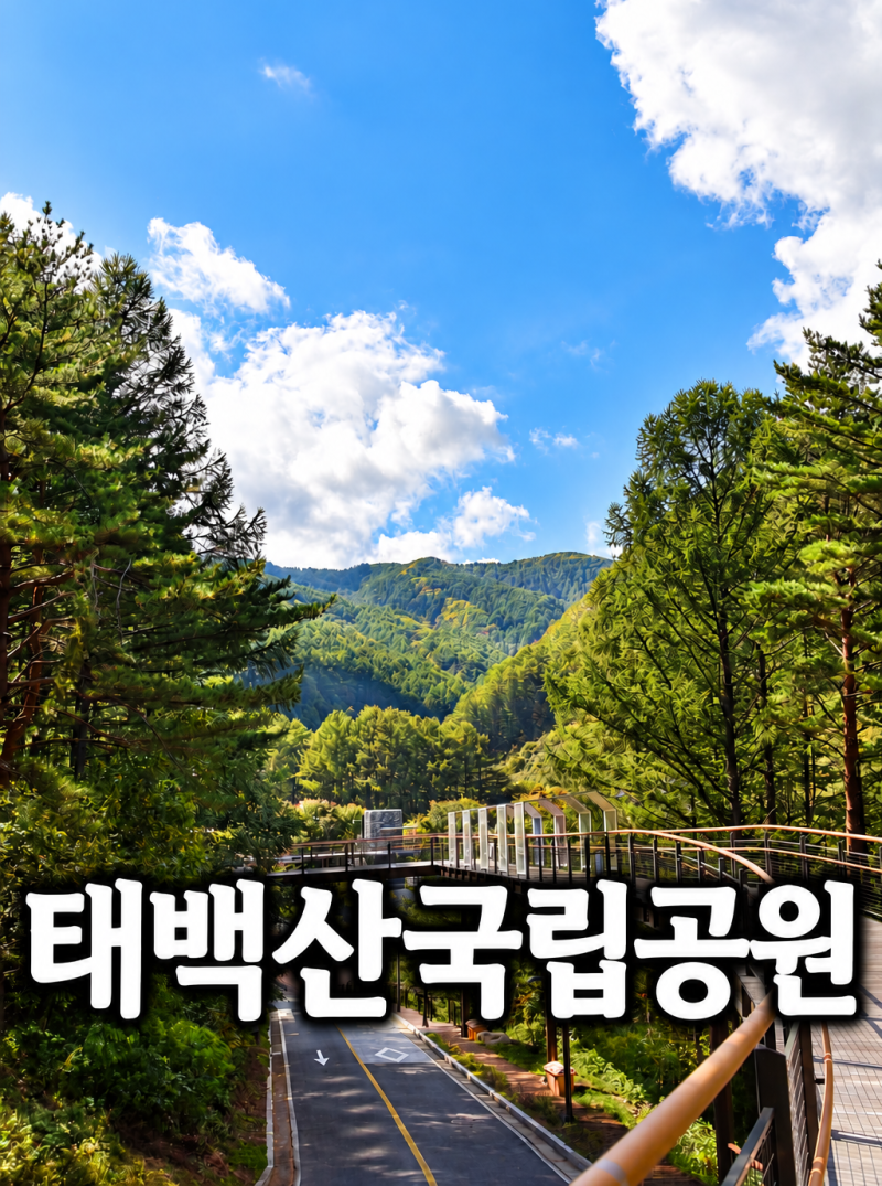 태백산국립공원 가성비 끝판왕 태백산민박촌과 나만 알고 싶은 로컬 맛집 코스