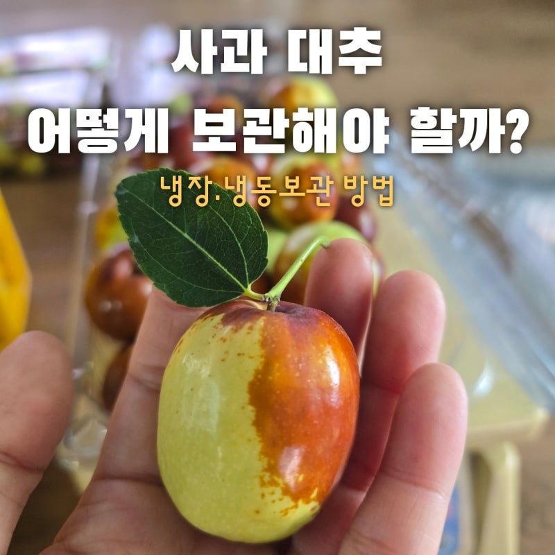사과대추 냉장 냉동 보관방법과 해야하는 이유
