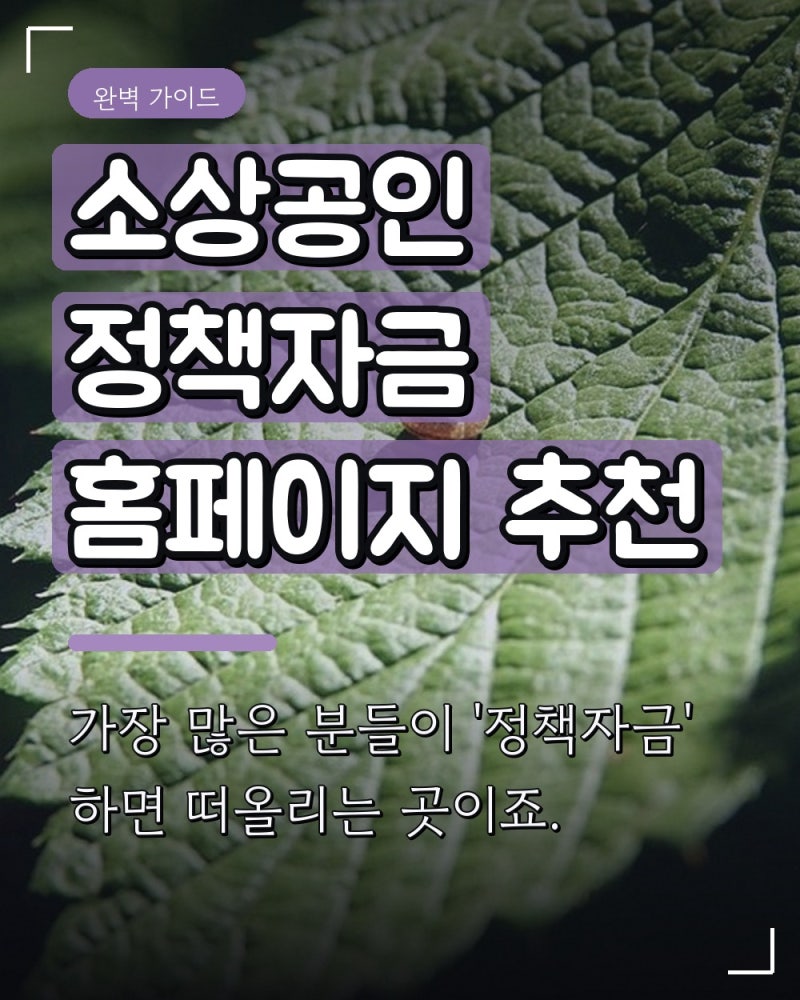 소상공인 정책자금 홈페이지 추천