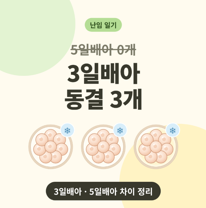 3일 배아 5일 배아 차이, 시험관 동결 이식 성공률과 착상 시기 정리