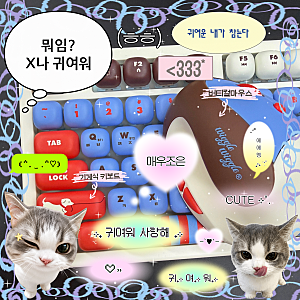 내돈내산 | 위글위글 기계식키보드 & 버티컬마우스 | 오늘의집 구입후기