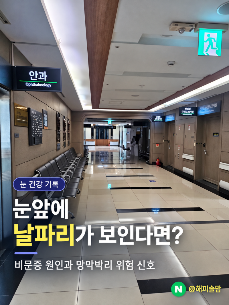 눈 앞에 날파리가 보인다면? 눈 건강비문증 원인과 망막박리 위험 신호