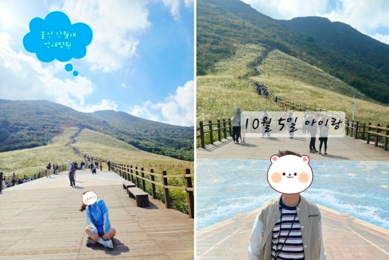 울산 간월재 주차 배내1,2 등산코스 ㅣ 아이랑 영남알프스 휴게소 억새 명소