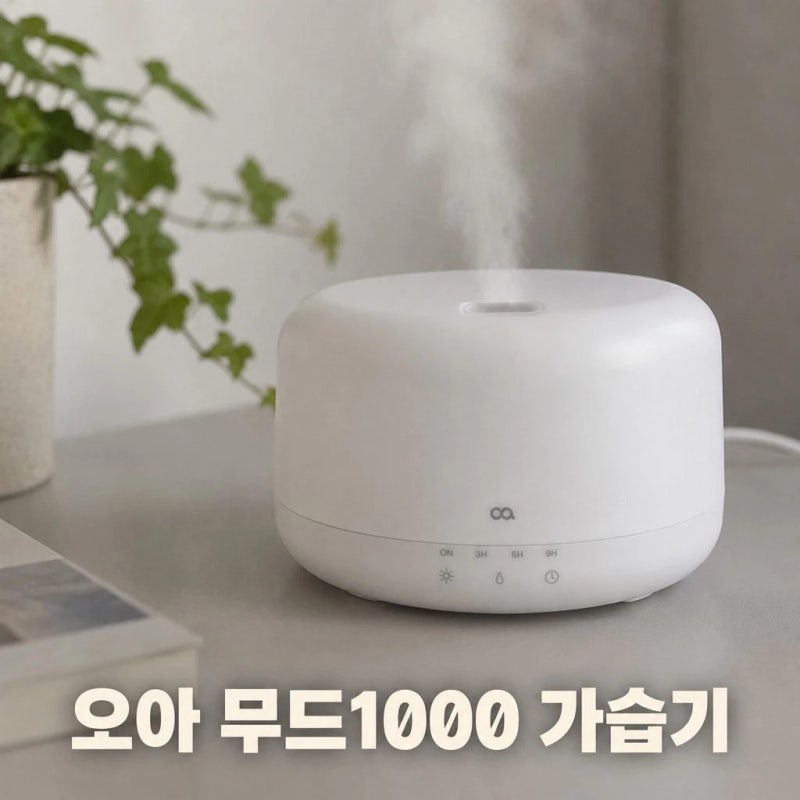 오아 무드1000 미니 초음파 가습기 소형 간편세척 원룸 신생아 캠핑 통세척 총정리