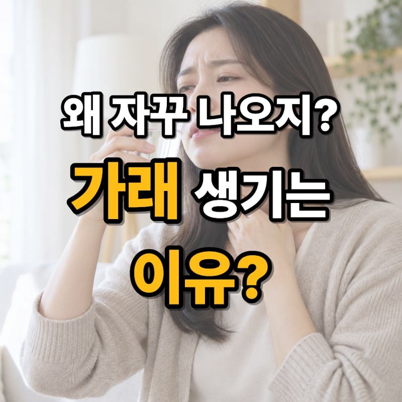 가래 생기는 이유 총정리, 목 가래·하얀 가래·기침 원인까지 알아보기