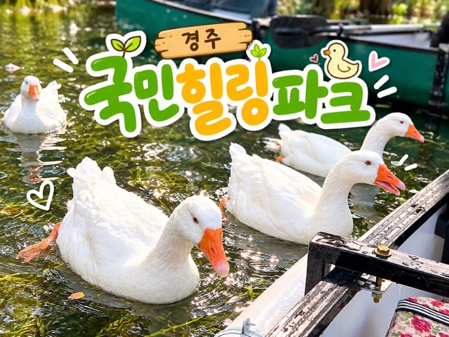 경주 아이랑 가볼만한곳 국민힐링파크, 토끼 먹이주기부터 카누 체험까지!