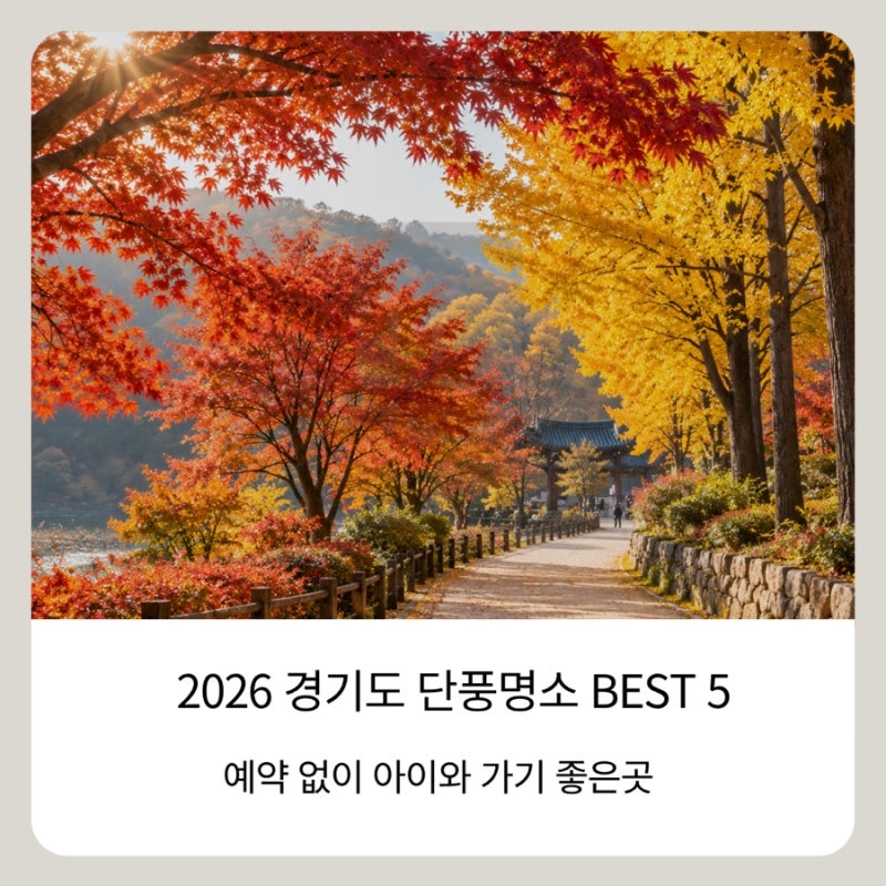 2026 경기도 단풍 명소 BEST 5, 예약 없이 아이와 가기 좋은 곳