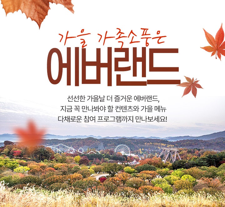 에버랜드 주차 꿀팁 총정리｜무료주차·정문주차·발레파킹·큐패스(플랜잇) 이용방법