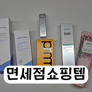 롯데인터넷면세점 쇼핑후기 ㅣ 추천템과 가격정리