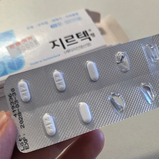 환절기 비염 약 재채기 지르텍먹어본 후기 부작용 졸림 2알 복용주의