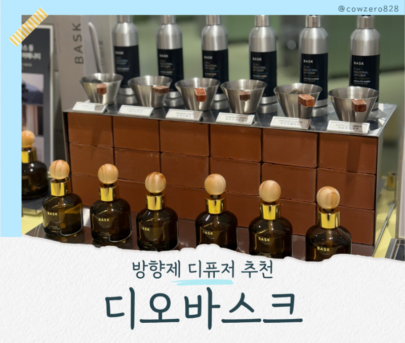 현대백화점 충청점 디오바스크｜차량용 방향제 디퓨저 직접 구매 후기