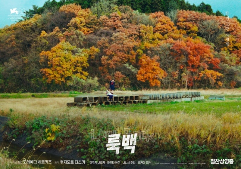 영홰개봉1위"비 맞으며 춤추던 그날처럼 ☔ 영화 《룩백(Look Back)》 결말 해석 및 눈물샘 자극....