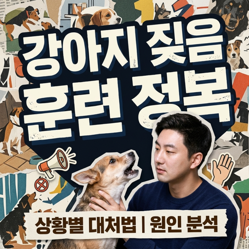 강아지 짖음 훈련 상황별 대처 노하우 이거로 해결