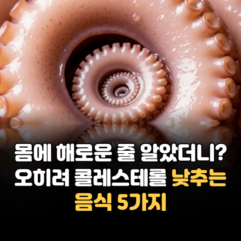 몸에 해로운 줄 알았더니? 오히려 콜레스테롤 낮추는 음식 5가지