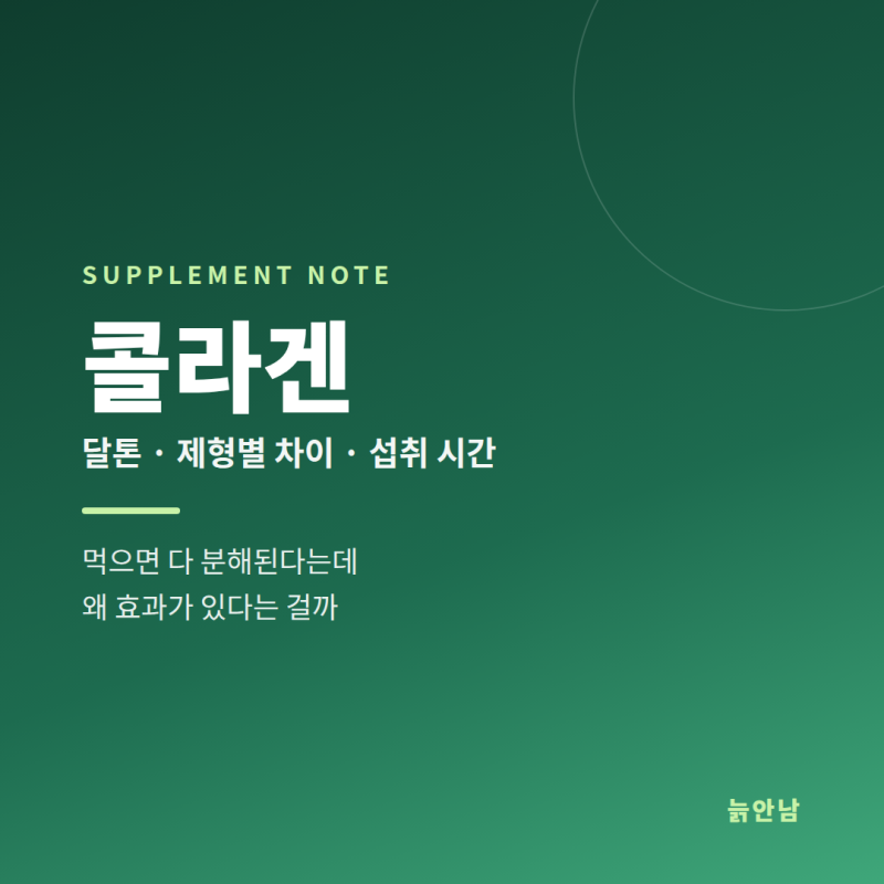 콜라겐, 먹으면 다 분해되는데 왜 효과가 있을까