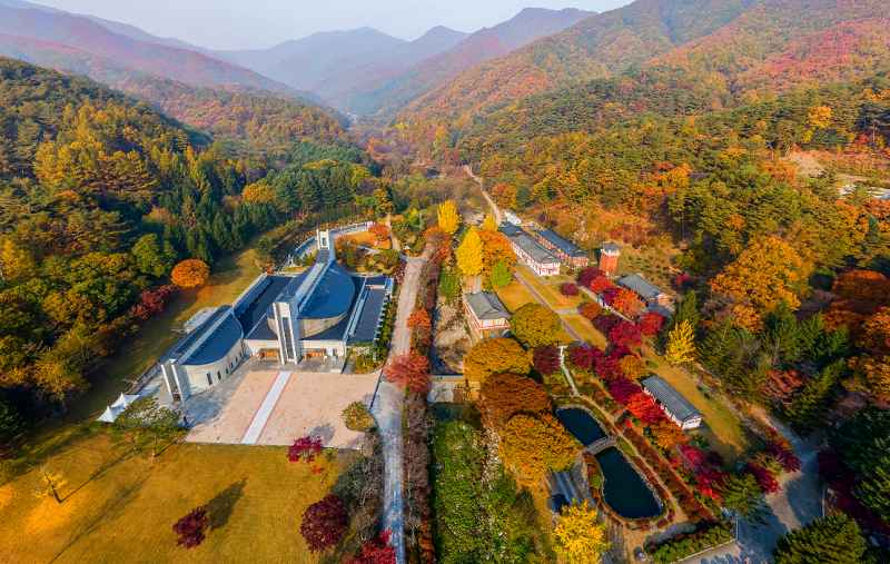 "여길 안 간다고?" 안 보면 후회하는 제천 가볼만한곳 단풍 명소 BEST 4