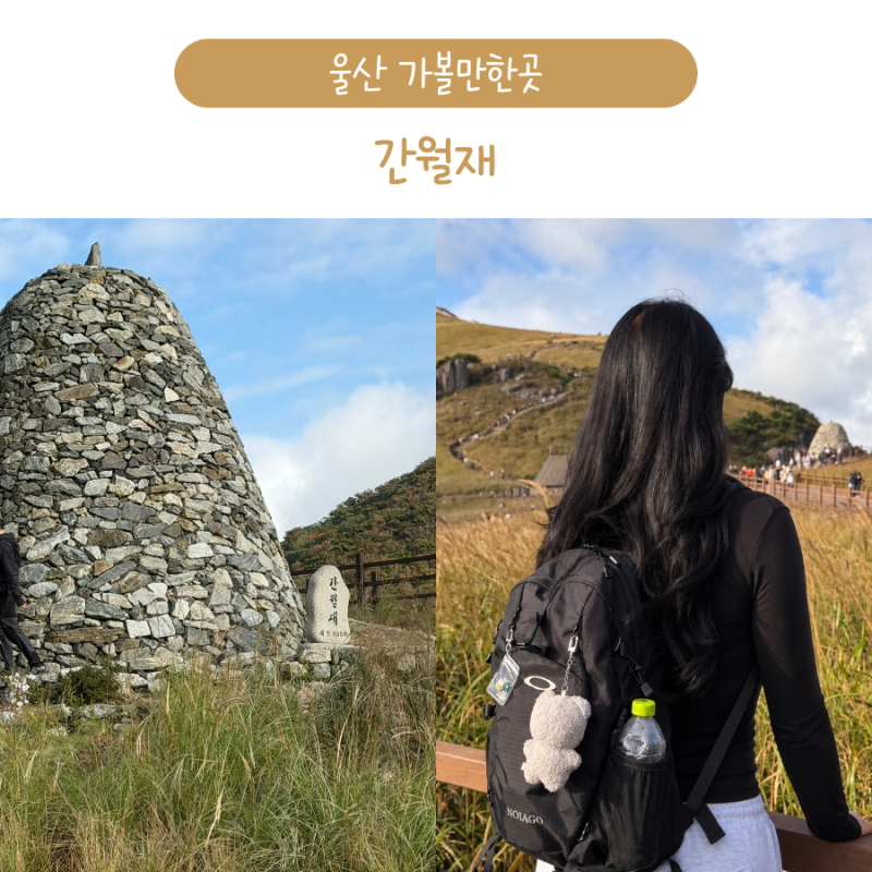 울산 가볼만한곳 간월재 주차장 가을 억새 영남알프스 휴게소 꿀팁