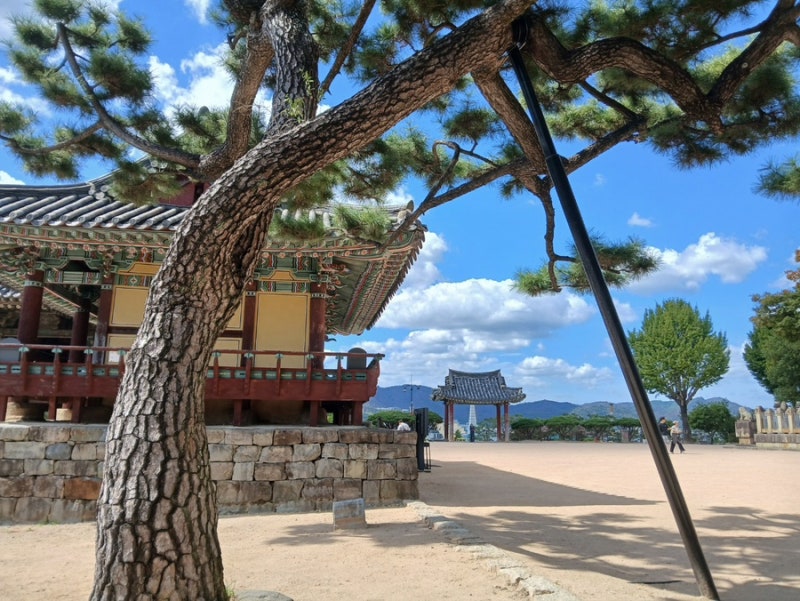 밀양반값여행 후기| 밀양택시 제로페이 - 6시간 당일치기 부모님 모시고 밀양열두달택시 여....