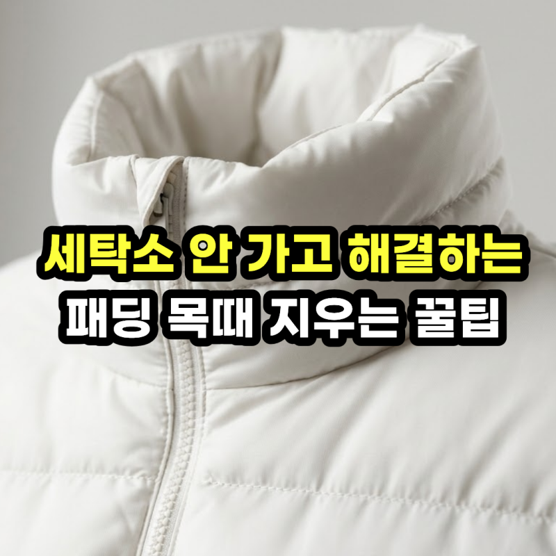 패딩 세탁법 및 패딩 목때 제거! 폼클렌징과 주방세제로 점퍼 찌든 때 손상 없이 지우는 법