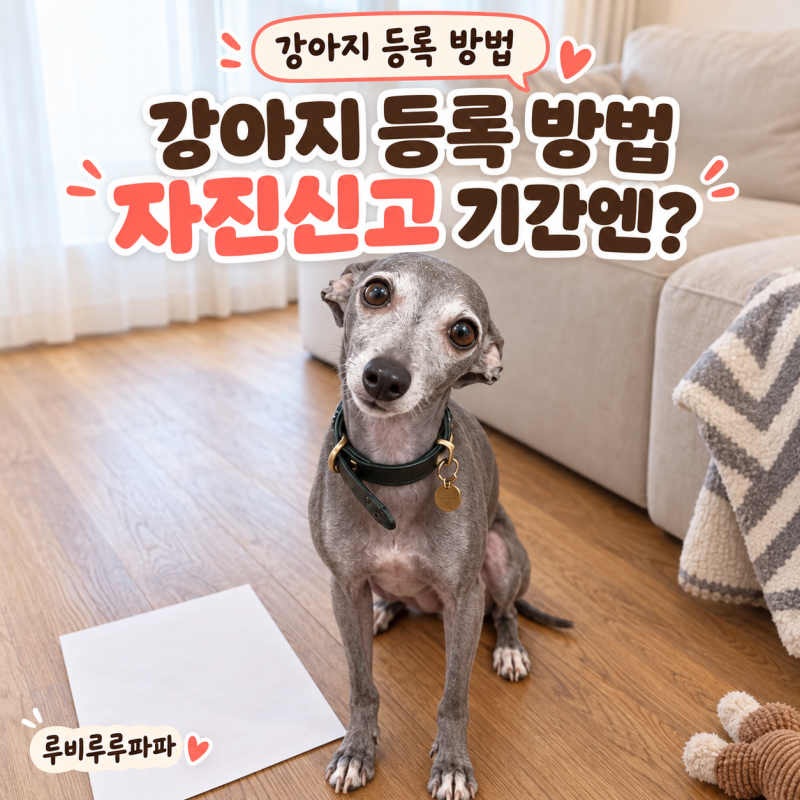 강아지 등록 방법, 자진신고 기간에 챙겨요
