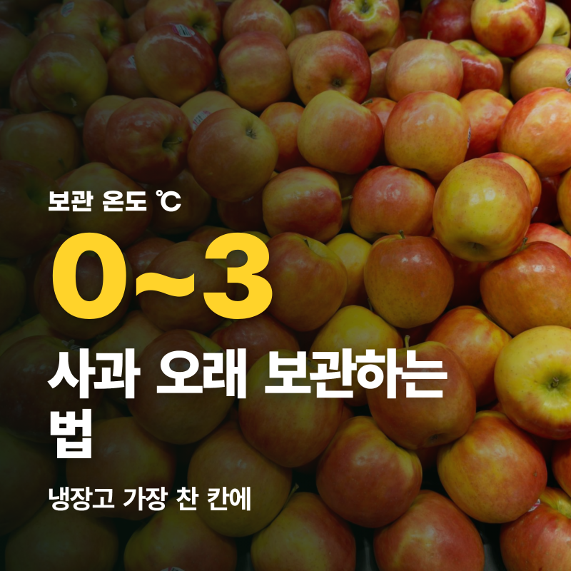 사과 오래 보관하는 법, 냉장 0~3℃가 기준