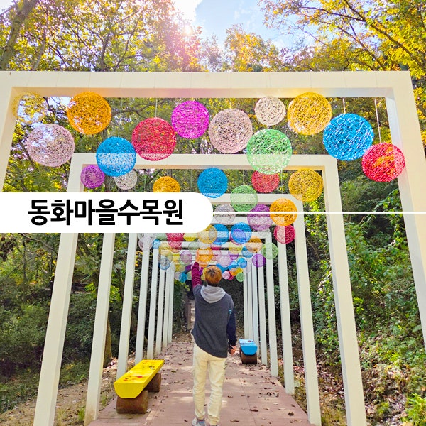 강원도 단풍 명소 10월 원주 가볼만한곳 11월 당일치기 여행 동화마을수목원