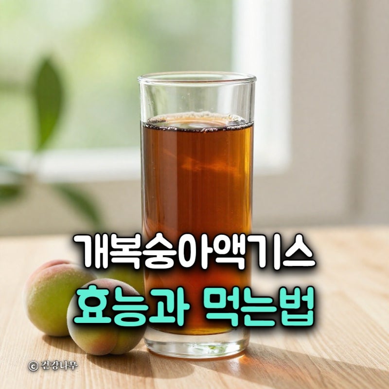 개복숭아 액기스 효능과 먹는법, 부작용 줄이는 희석 비율