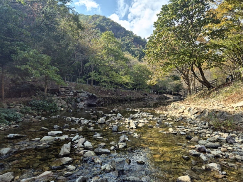 전주 근교 가볼만한 곳 / 완주 고산자연휴양림 캠크닉 꿀팁 / 좋은 자리 추천 / 아이랑 가을캠....