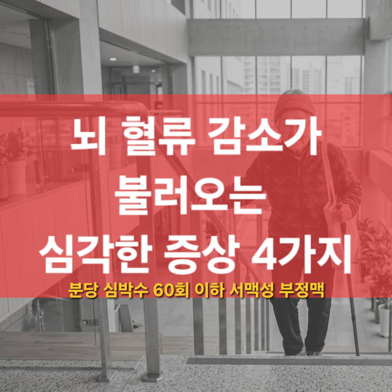 분당 심박수 60회 이하 서맥성 부정맥, 뇌 혈류 감소가 불러오는 심각한 증상 4가지