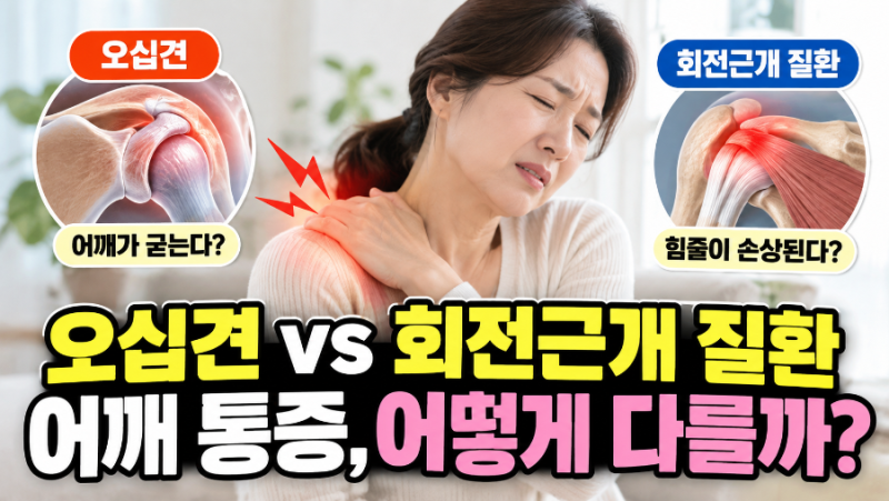 오십견 회전근개 질환 차이, 어깨가 아플 때 구별하는 핵심 증상