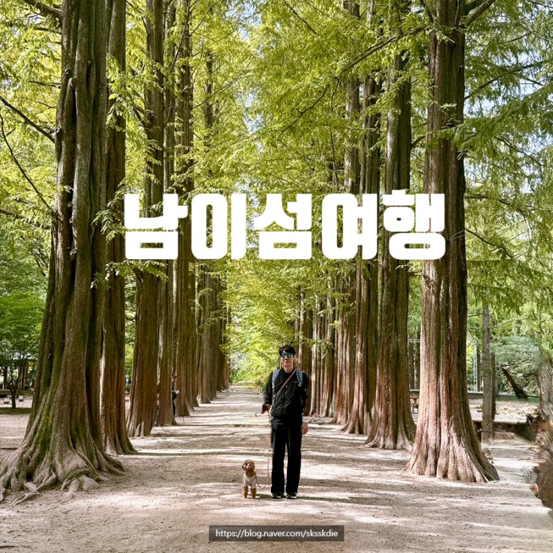 남이섬 단풍시기 2026년 10월에 여행 다녀왔어요(f.애견동반)