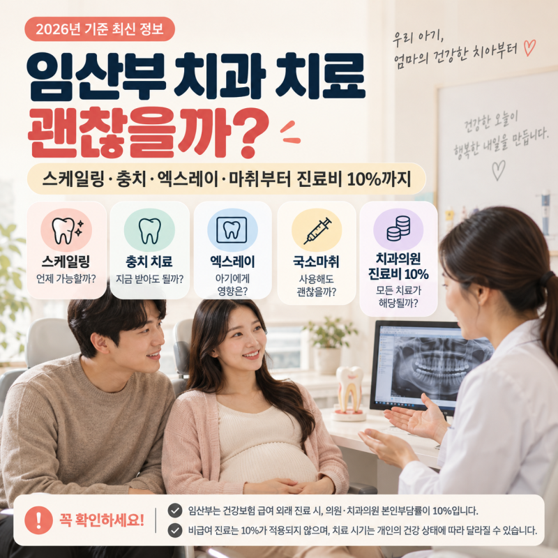임산부 치과 치료 괜찮을까? 스케일링·충치·엑스레이·마취부터 진료비 10%까지