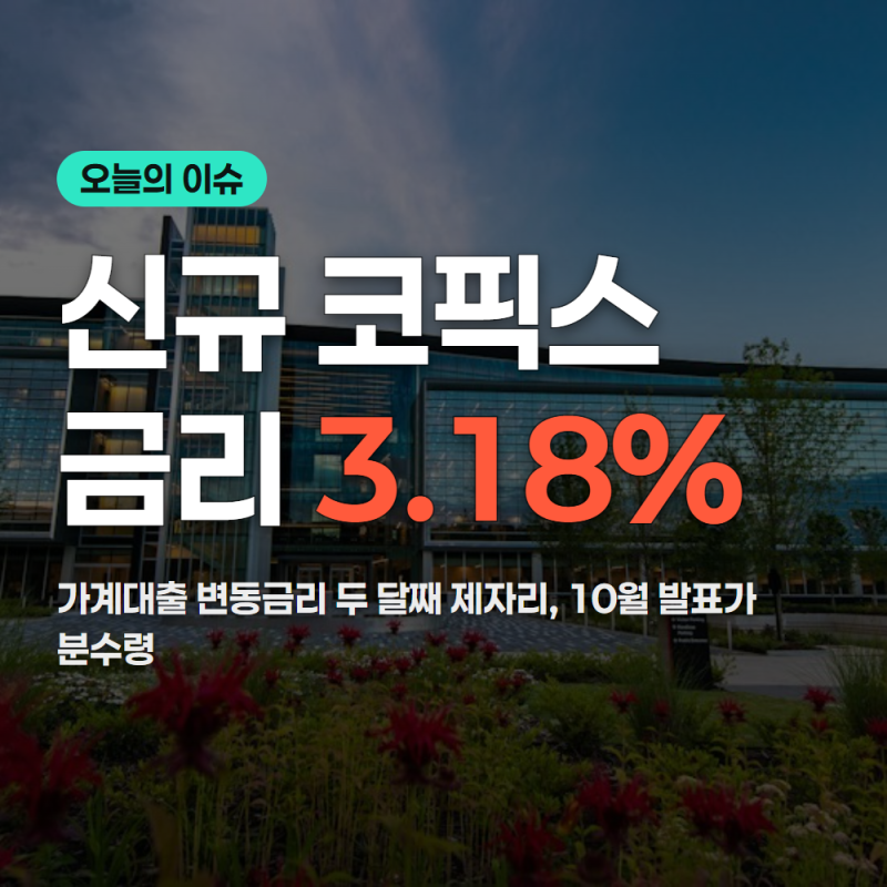 신규 코픽스 금리 3.18%, 변동금리 총정리(10월)