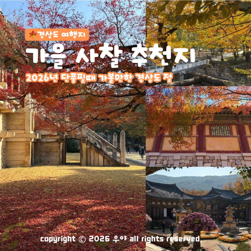 "올가을 단풍 사찰 어디 갈까?" 경상도 가볼 만한 절 추천지