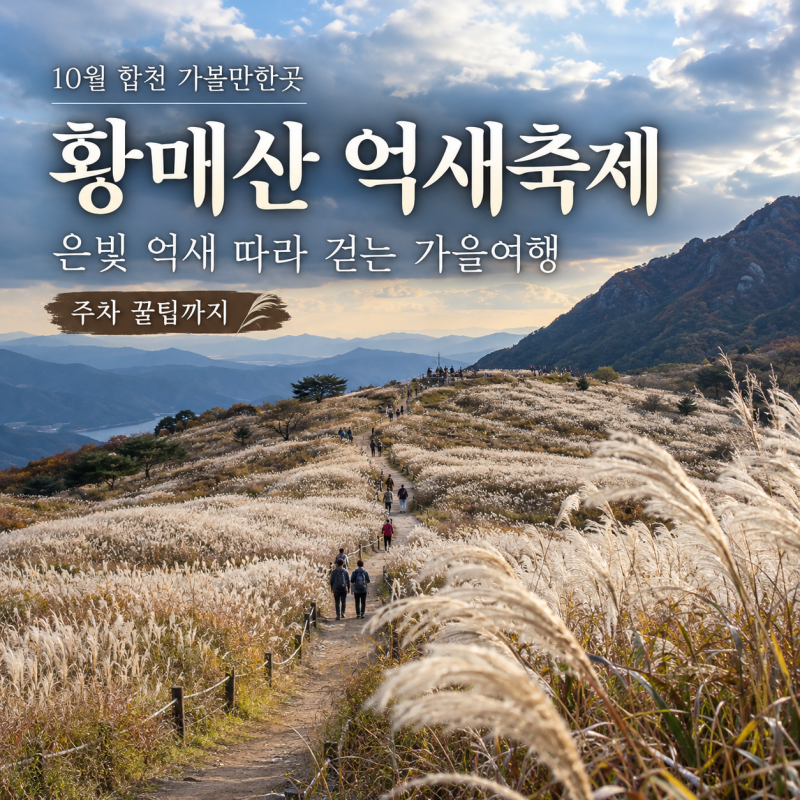 10월 합천 가볼만한곳 황매산 억새축제, 은빛 억새 따라 걷는 가을여행 주차 꿀팁까지
