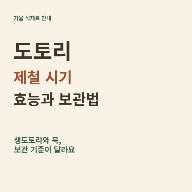 도토리 제철 시기 효능과 보관법, 10월에 알아둘 묵 보관 기준