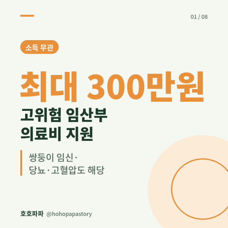 고위험 임산부 의료비 최대 300만원, 쌍둥이 임신·당뇨·고혈압도 해당! 19개 질환 확인하세요