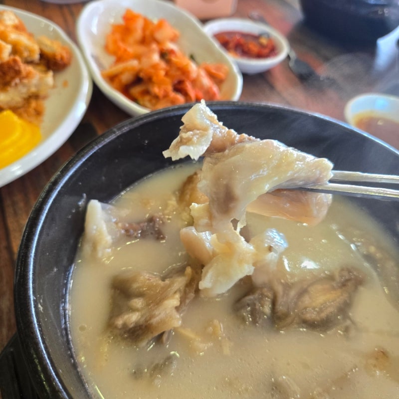 충주 연수동 황금옥 아이랑 설렁탕 도가니탕 돈까스까지