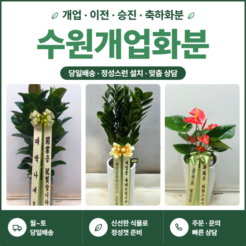 수원개업화분배달, 수원역 개업선물 인기 개업선물 화분 베스트 당일주문 당일도착!