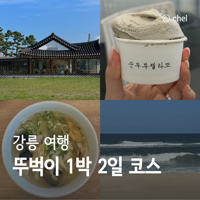 강릉 혼자 여행 1박 2일 코스 추천 혼밥 맛집 카페