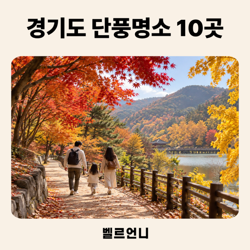 2026 경기도 단풍명소 10곳 아이와 가볼만한곳, “산 안 타도 가을 제대로예요”