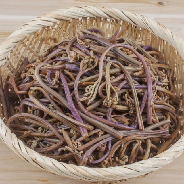 당뇨 혈당 잡는 “고사리” 효능과 부작용 완벽 정리