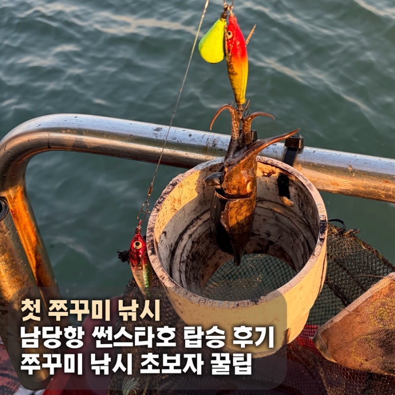 [충남 홍성] 첫 쭈꾸미 낚시 남당항 썬스타호 탑승 후기 쭈꾸미 낚시 초보자 꿀팁