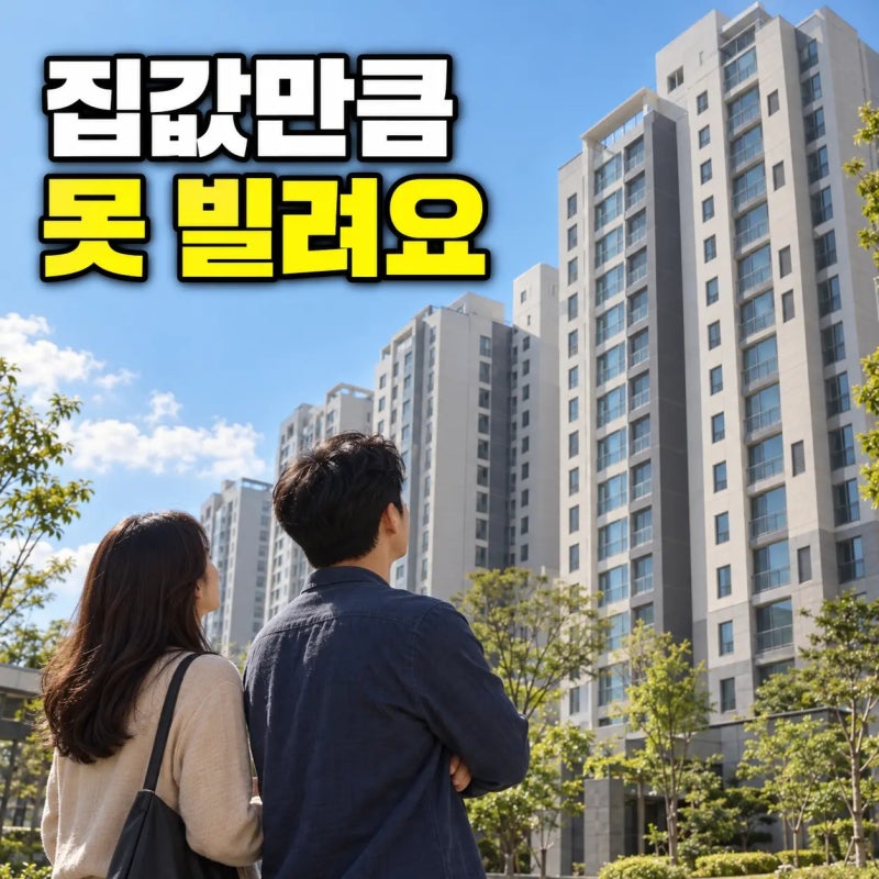 신생아 특례 대출, 주택 가격과 빌릴 돈은 왜 다를까