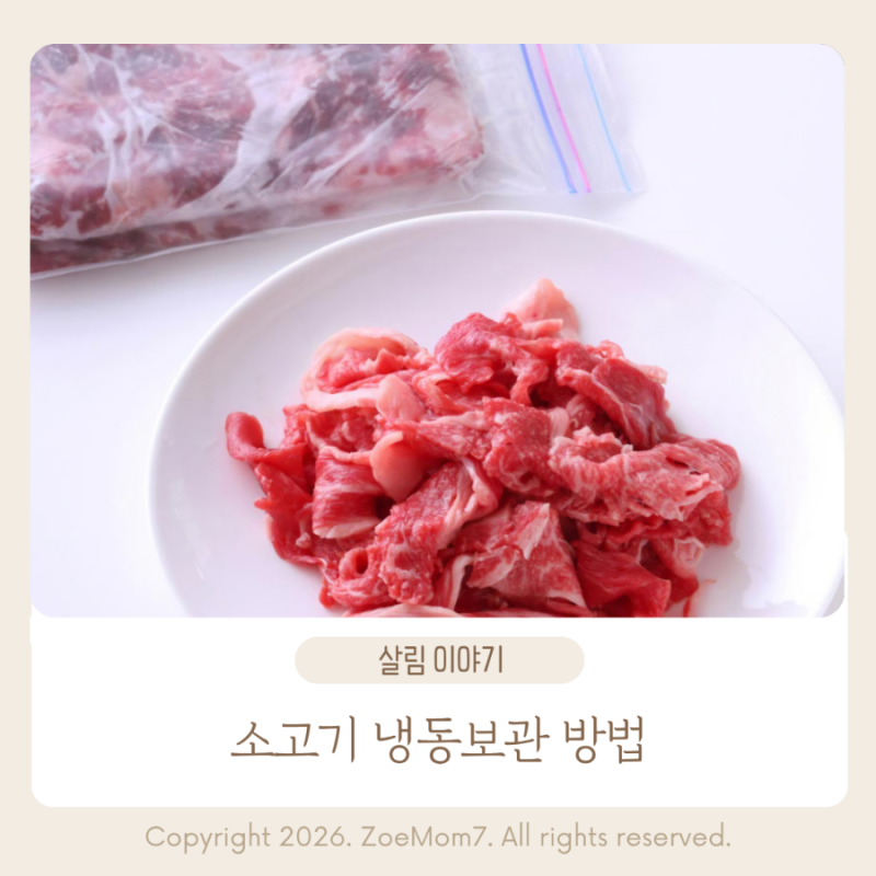 소고기 냉동보관 방법과 해동 요령, 변색 이유