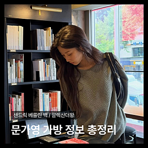 문가영 가방 어디꺼? 샌드릭 베를린백·알렉산더왕 미니백 정보, 금액 정리