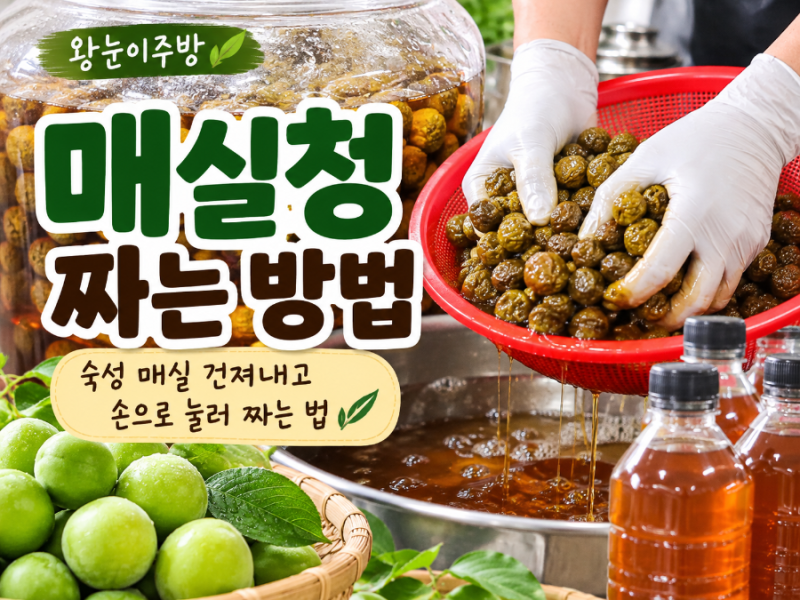 매실청 짜는날짜와 방법 보관까지