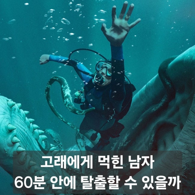영화 웨일폴 고래에 먹힌 남자 정보 줄거리 리뷰, 고래 뱃속에서 살아남을 수 있을까