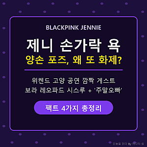 제니 손가락 욕 포즈, 왜 또 화제? 위켄드 공연 레오파드 시스루와 '주말오빠' 3가지 포인트